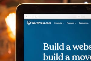 Custom Wordpress Website Development Company
